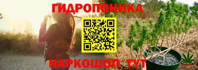 спайс Гусь-Хрустальный