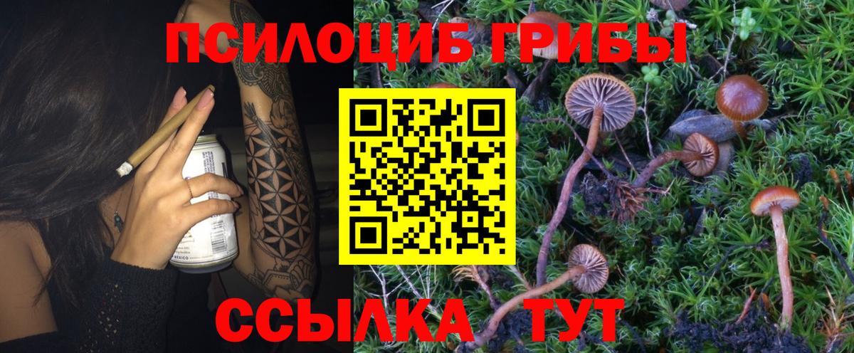 Псилоцибиновые грибы Magic Shrooms Медногорск